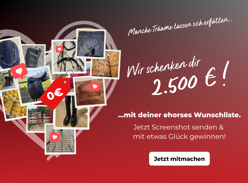 Gewinne 2.500€ mit ehorses!