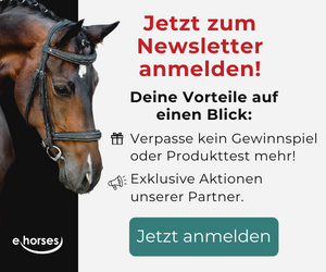 ehorses Newsletter