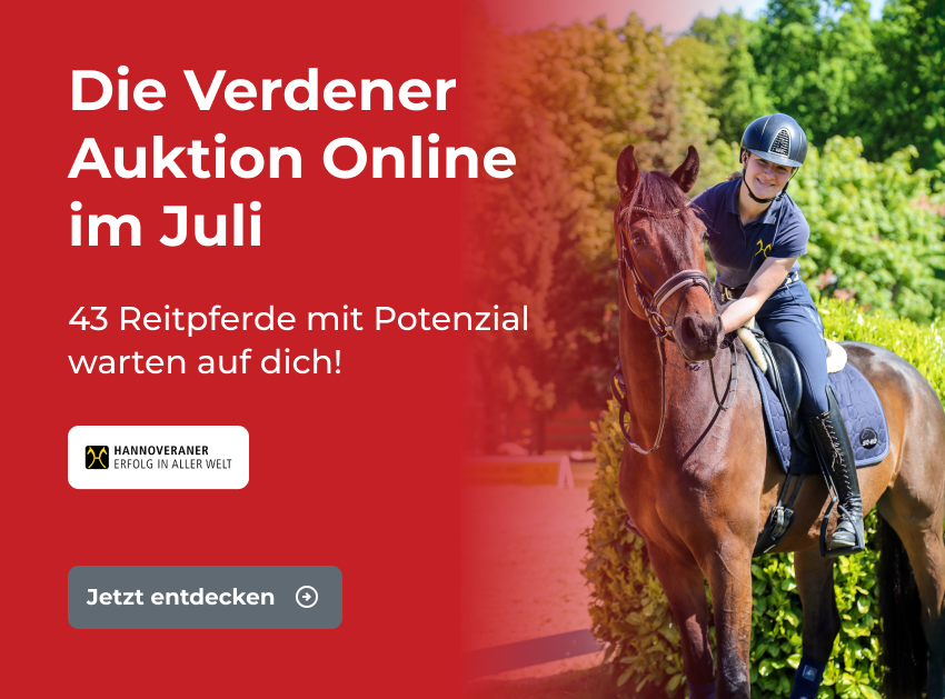 Infotorial Hannoveraner Verband