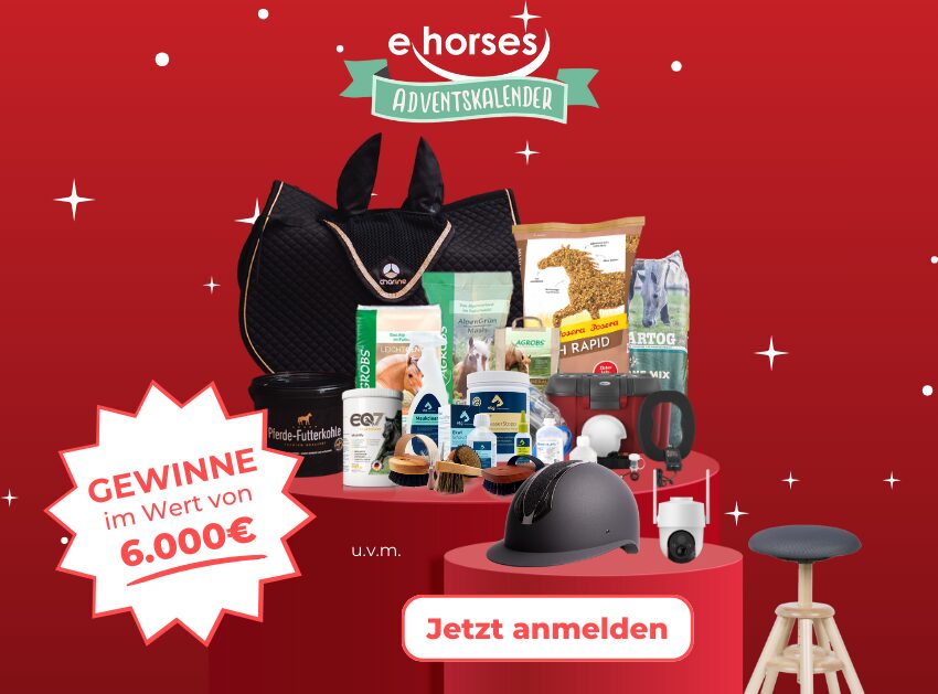 ehorses Event-Planer - ehorses Magazin