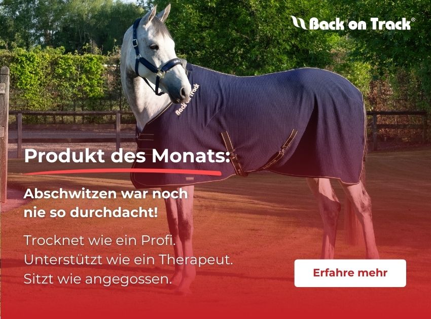Produkt des Monats: Abschwitzdecke Back on Track