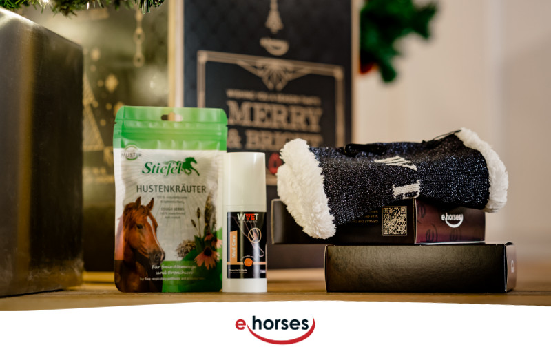 Werde Produkttester für die ehorses Adventskalender Box