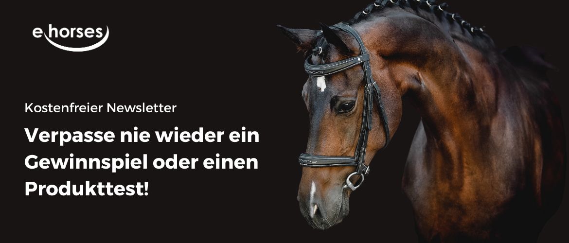 ehorses Newsletter: Melde Dich kostenfrei an!