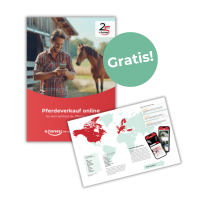 Pferdeverkauf online