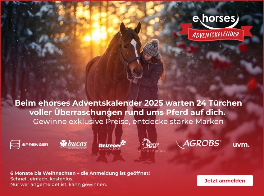 DQHA - American Quarter Horses Deutschland I ehorses Magazin