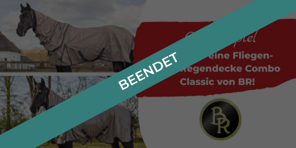 ehorses gewinnspiel: Gewinne jeden Monat tolle Preise