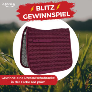 ehorses gewinnspiel: Gewinne jeden Monat tolle Preise