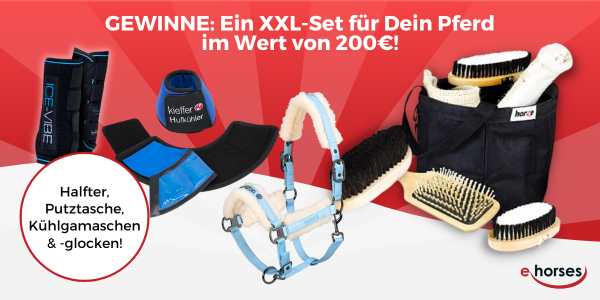 ehorses gewinnspiel: Gewinne jeden Monat tolle Preise