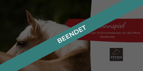 ehorses gewinnspiel (3)