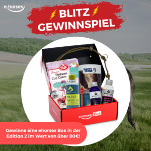 ehorses gewinnspiel: Gewinne jeden Monat tolle Preise