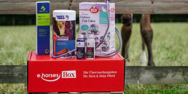 ehorses gewinnspiel: Gewinne jeden Monat tolle Preise