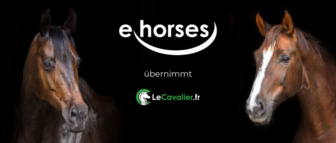 ehorses übernimmt französischen Online-Pferdemarkt Le Cavalier ...
