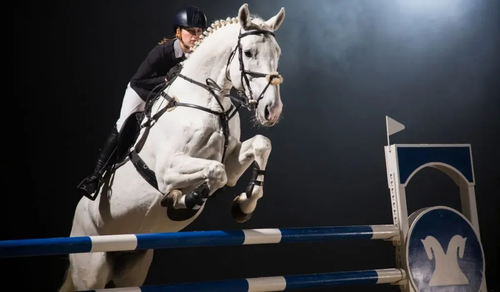 Schimmel beim Springen im Dunkeln