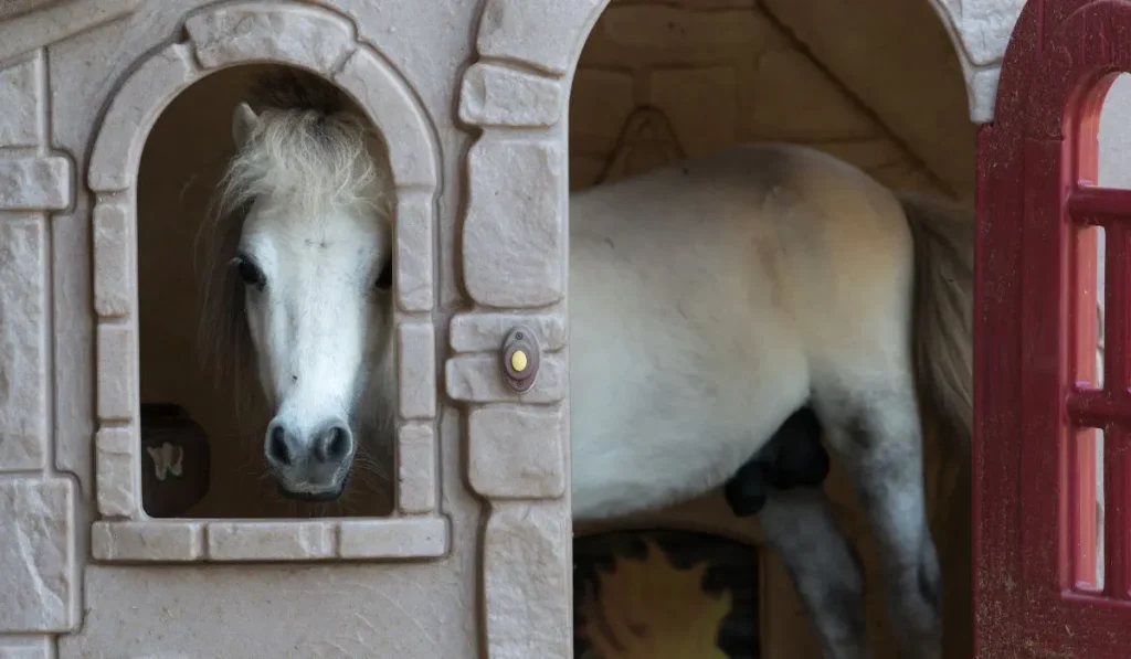 Pferd im Spielhaus