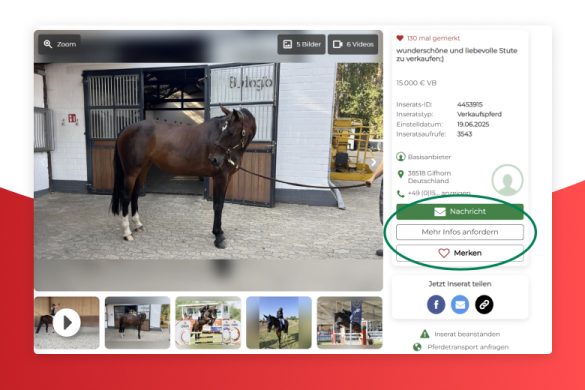 ehorses.de_Headerbild Magazin 780×520
