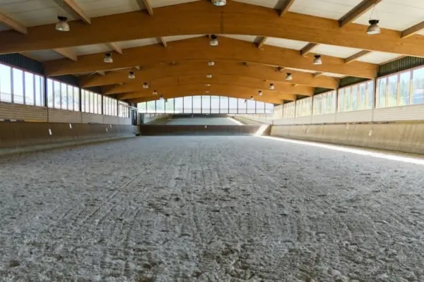 Innenansicht der lichtdurchfluteten, professionellen Reithalle der Reitanlage in Heimbach am Nationalpark Eifel. Ein ebenmäßig gepflegter, heller Sandboden erstreckt sich über die gesamte Reitfläche im Turniermaß. Die Halle wird von einer imposanten Holzkonstruktion mit geschwungenen Leimholzbindern überspannt, während durchgehende Fensterbänder an beiden Längsseiten sowie an der Stirnseite für reichlich natürliches Tageslicht sorgen. Eine umlaufende Holzbande rahmt den Reitbereich sauber ein.