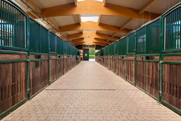 eifel-nationalpark-immobilien-der-woche