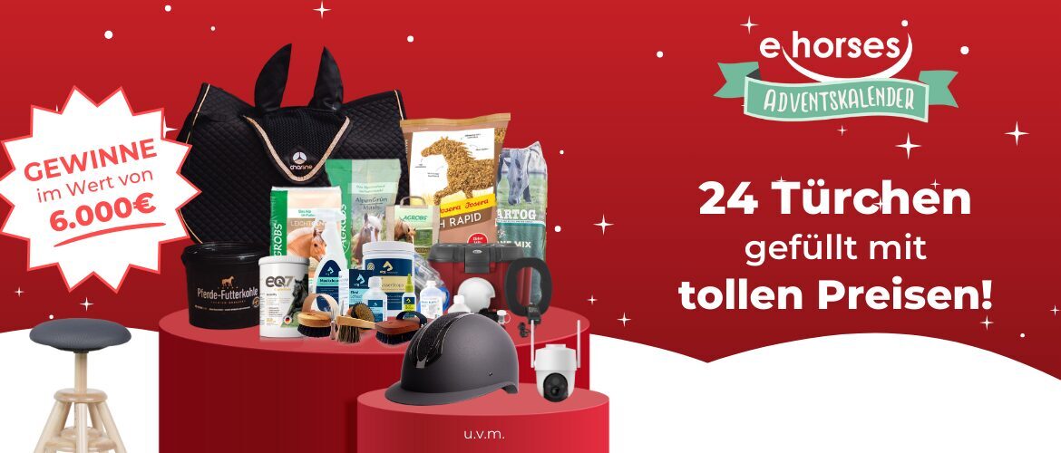 ehorses.de - tägliche Adventskalendergewinnspiele 2024 - Gewinn‑Portal ...