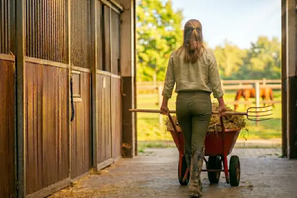 907d148f-5907-4bbd-ab99-ea3bbf742ec8-1