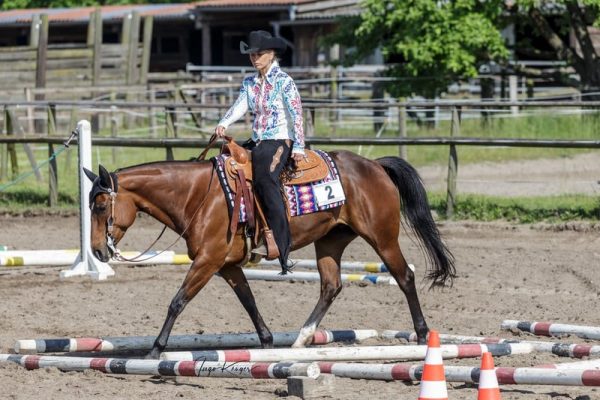 american-quarter-horse-stute-11jahre-150-cm-brauner-westernpferd-schaupferd-freizeitpferd-schwarmstedt_d705c9a4-6acd-4741-8e52-907df7385a88