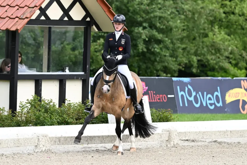 M Gold für Deutschlands Pony-Dressurreiter