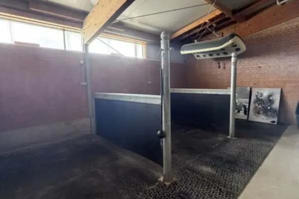 Innenansicht eines Pferde-Wasch- oder Putzplatzes in einem Stallgebäude. Eine Metallrahmenkonstruktion mit zwei soliden schwarzen Trennwänden steht im Zentrum auf einem unebenen Betonboden. Davor ein Anbindepfosten mit einer Kugel. Rechts oben an der Decke ist ein beleuchtetes Tier-Solarium installiert. Der Hintergrund zeigt eine freigelegte Ziegelwand und zwei helle Fenster. Ein massiver Holzbalken verläuft an der Decke.