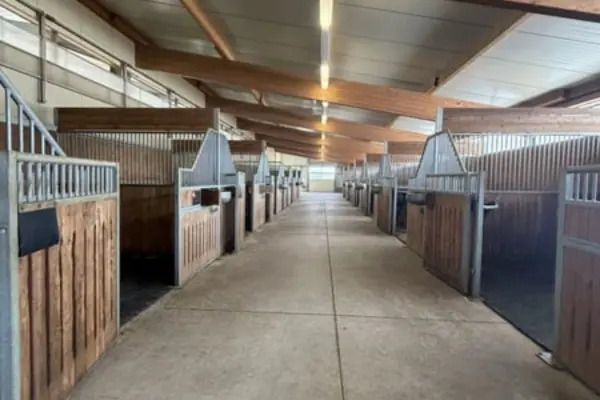 Innenansicht einer aufgeräumten und gut beleuchteten Stallgasse in einem modernen Pferdestall. Links und rechts befinden sich Pferdeboxen aus Holz und Metall, über dem betonierten Gang verläuft eine hohe Decke mit Holzbalken.