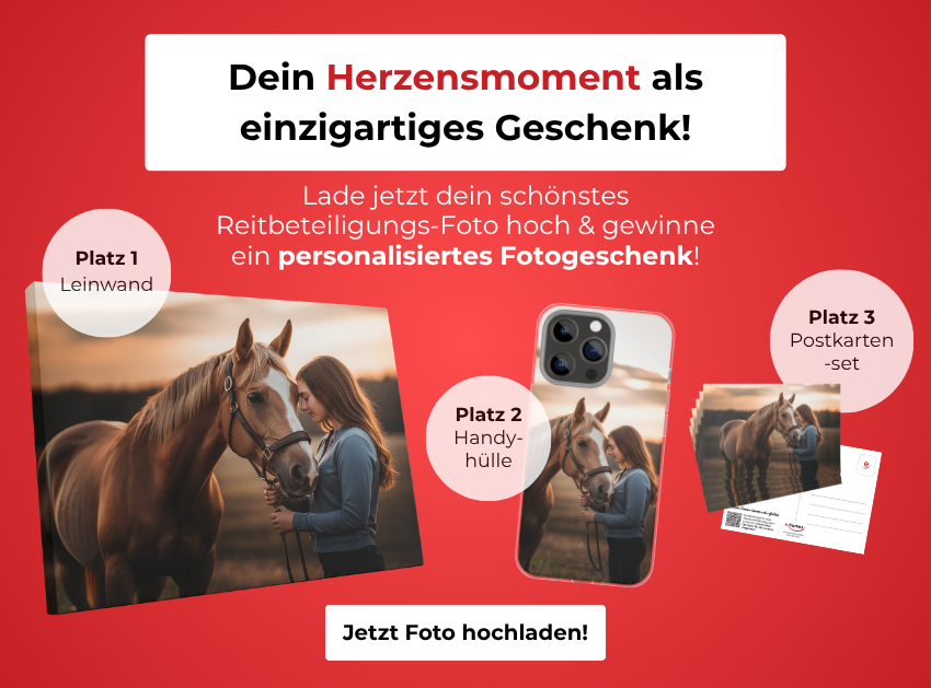 ehorses Fotowettbewerb