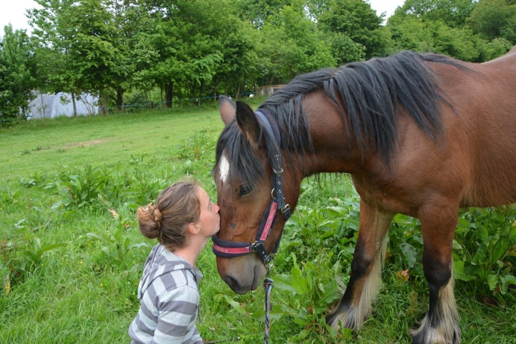 Frau küsst Pferd