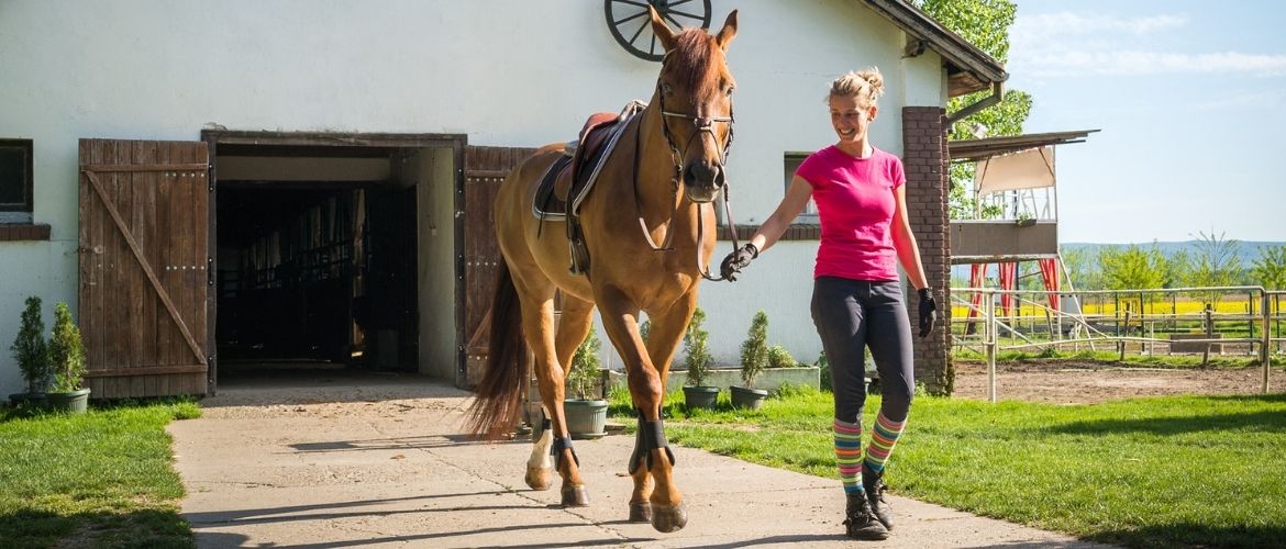 Frau spaziert mit ihrem Pferd aus dem Pferdestall heraus