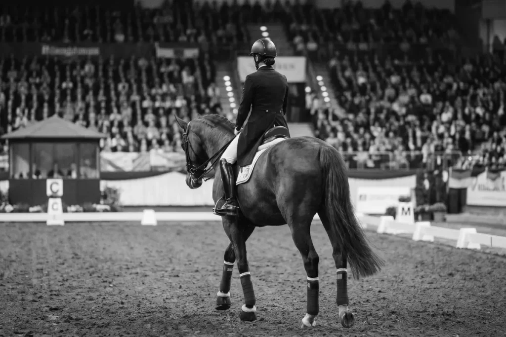 Rückansicht einer Dressurreiterin auf einem dunkelbraunen Warmblut in einem Reitviereck, die auf eine gefüllte Zuschauertribüne in einer Turnierhalle zureitet.