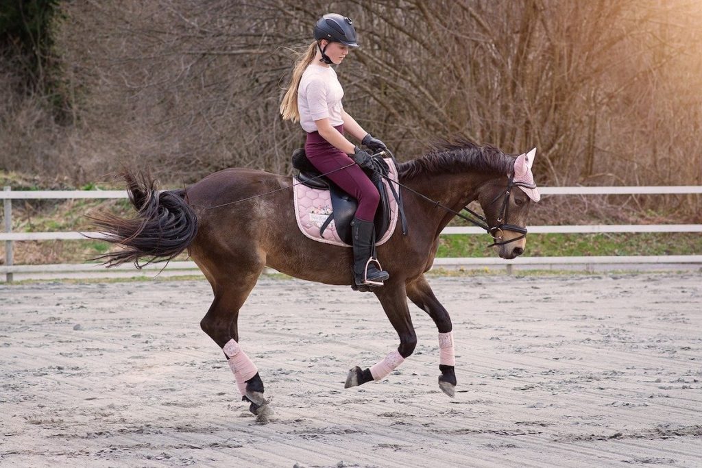 Mädchen reitet Pferd im Galopp.