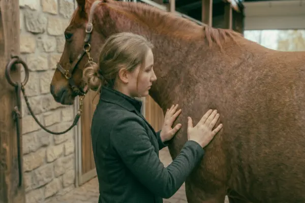 Eine junge Reiterin in einer Stallgasse, die mit beiden Händen den Bereich hinter der Schulter und am Widerrist ihres Pferdes abtastet, um Fettdepots im Rahmen des Body Condition Score (BCS) zu beurteilen.