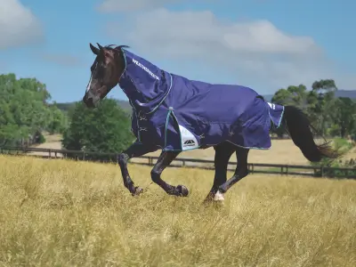 gewinnspiel-weatherbeeta-0426 (1) (1)