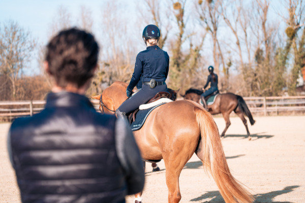 Headset Reiten: Zwei Pferde auf einem Platz