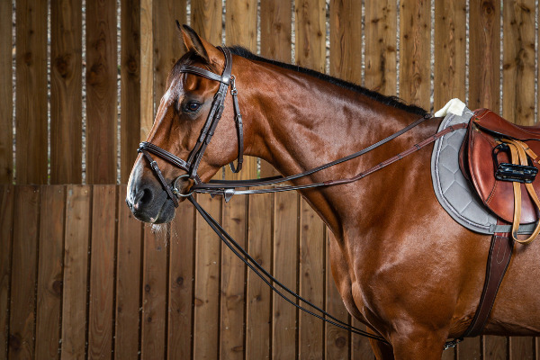 hilfszuegel-pferd-schlaufzuegel