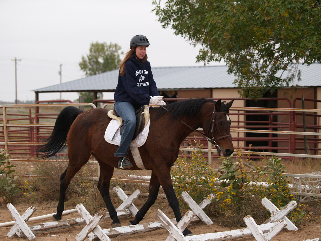 Cavaletti