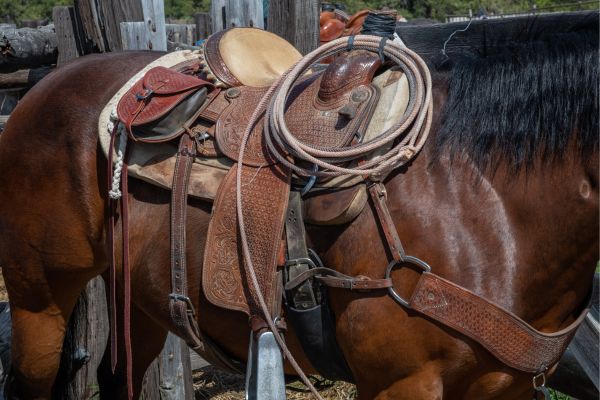 Westernreiten: Die besondere Ausrüstung