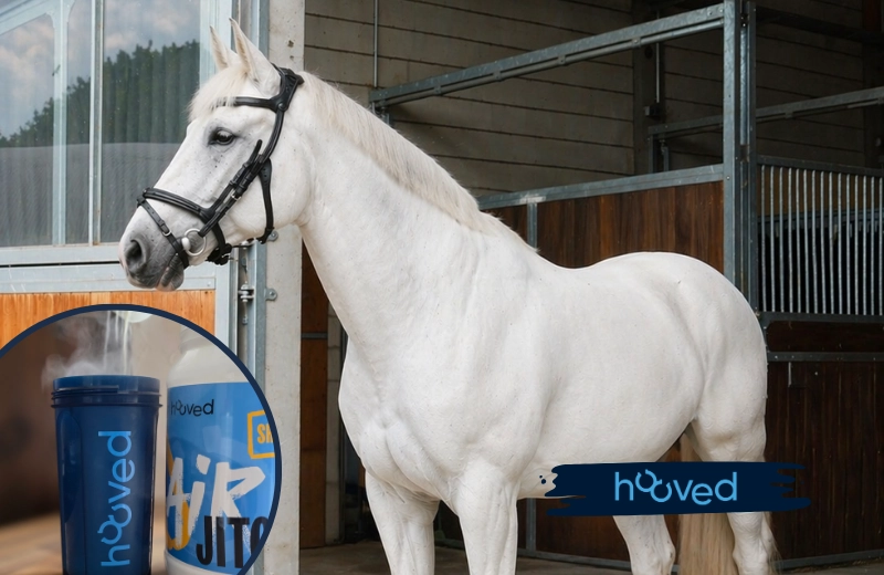 Produkttest von hooved