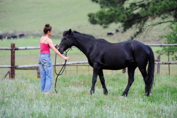 Horsemanship: Frau mit Pferd