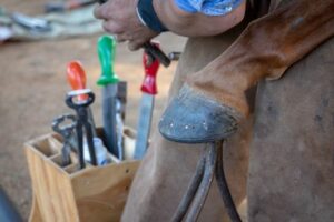 Hufschmied: Ausbildung, Gehalt & Kosten | ehorses Magazin