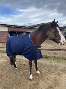 Erfahrungen Bucas Irish Turnour Decke