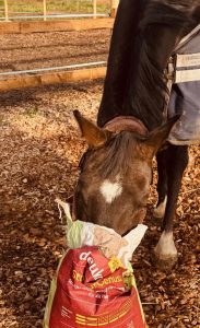 Erfahrungen mit dem deukavallo Strukturgenuss