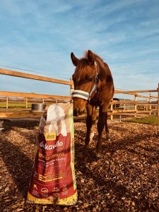 Erfahrungen mit dem deukavallo Strukturgenuss