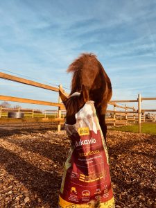 Erfahrungen mit dem deukavallo Strukturgenuss
