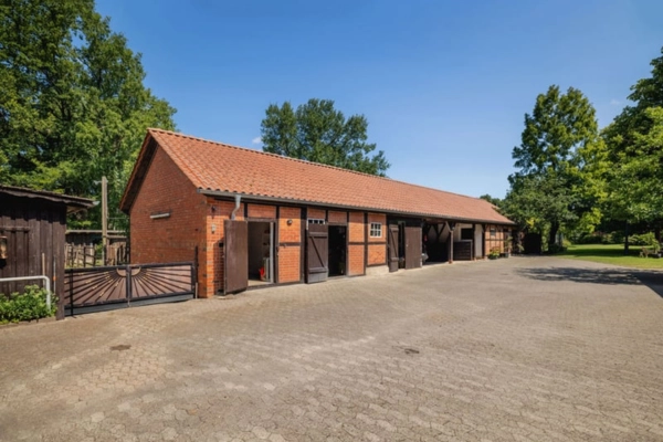 immobilie-der-woche-niedersachsen-elbtalaue (3)