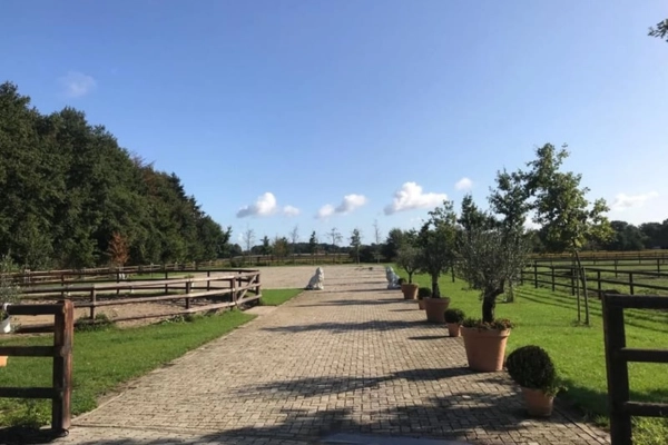 immobilie-der-woche-niedersachsen-emsland2