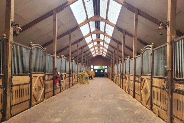 immobilie-der-woche-niedersachsen-emsland3