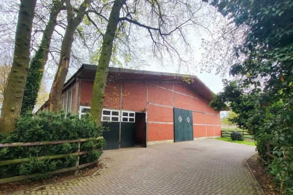 immobilie-der-woche-niedersachsen-emsland4