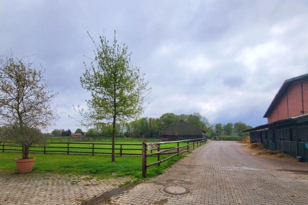 immobilie-der-woche-niedersachsen-emsland5